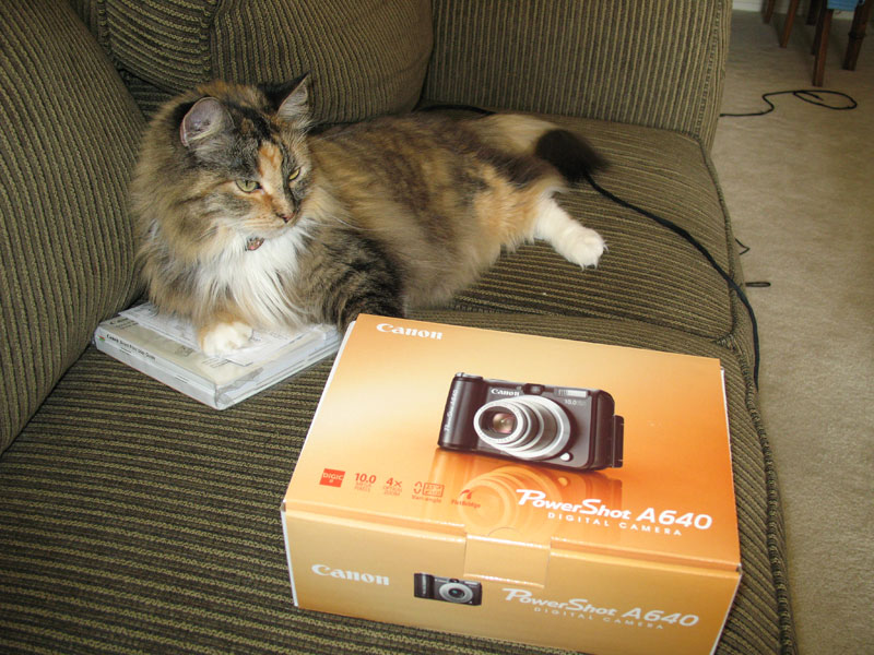 IMAGE: http://www.firemaplephotography.com/offsitephotos/A640/IMG_0001.jpg